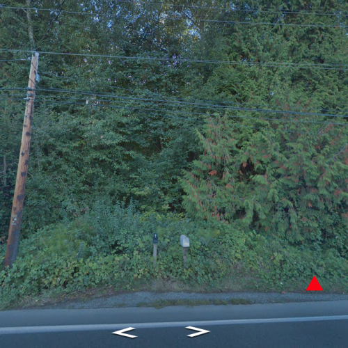 Vegetation Encroachment Streetview