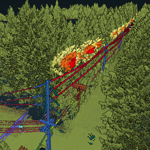 Powerline Classification with Trees