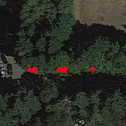 Vegetation encroachment